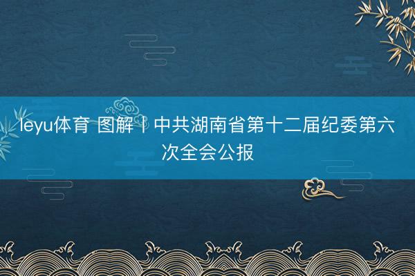 leyu体育 图解丨中共湖南省第十二届纪委第六次全会公报