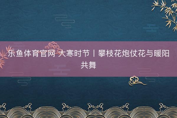 乐鱼体育官网 大寒时节丨攀枝花炮仗花与暖阳共舞