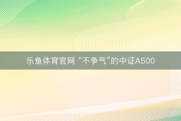 乐鱼体育官网 “不争气”的中证A500