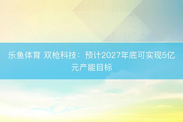 乐鱼体育 双枪科技:预计2027年底可实现5亿元产能目标