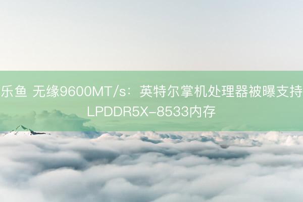 乐鱼 无缘9600MT/s：英特尔掌机处理器被曝支持LPDDR5X-8533内存