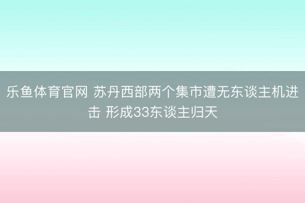 乐鱼体育官网 苏丹西部两个集市遭无东谈主机进击 形成33东谈主归天