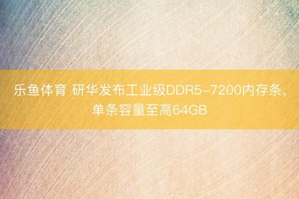 乐鱼体育 研华发布工业级DDR5-7200内存条,单条容量至高64GB