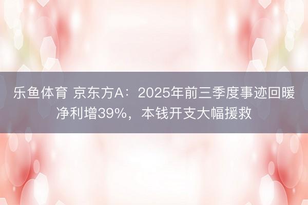乐鱼体育 京东方A：2025年前三季度事迹回暖净利增39%，本钱开支大幅援救