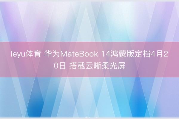 leyu体育 华为MateBook 14鸿蒙版定档4月20日 搭载云晰柔光屏