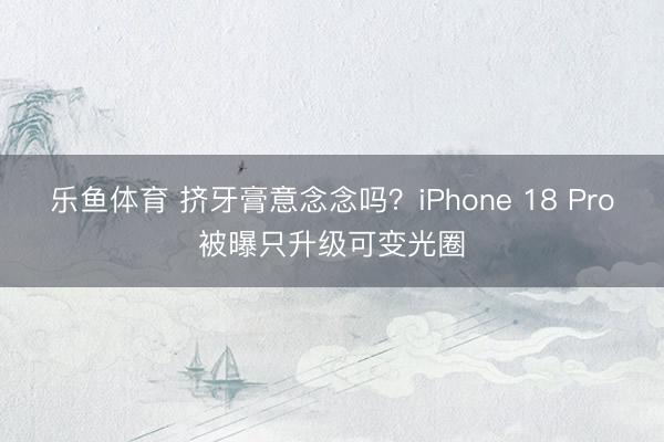 乐鱼体育 挤牙膏意念念吗？iPhone 18 Pro被曝只升级可变光圈