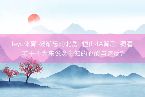 leyu体育 被渐忘的北岳: 恒山4A背后, 藏着若干不为东说念主知的心酸与造反?